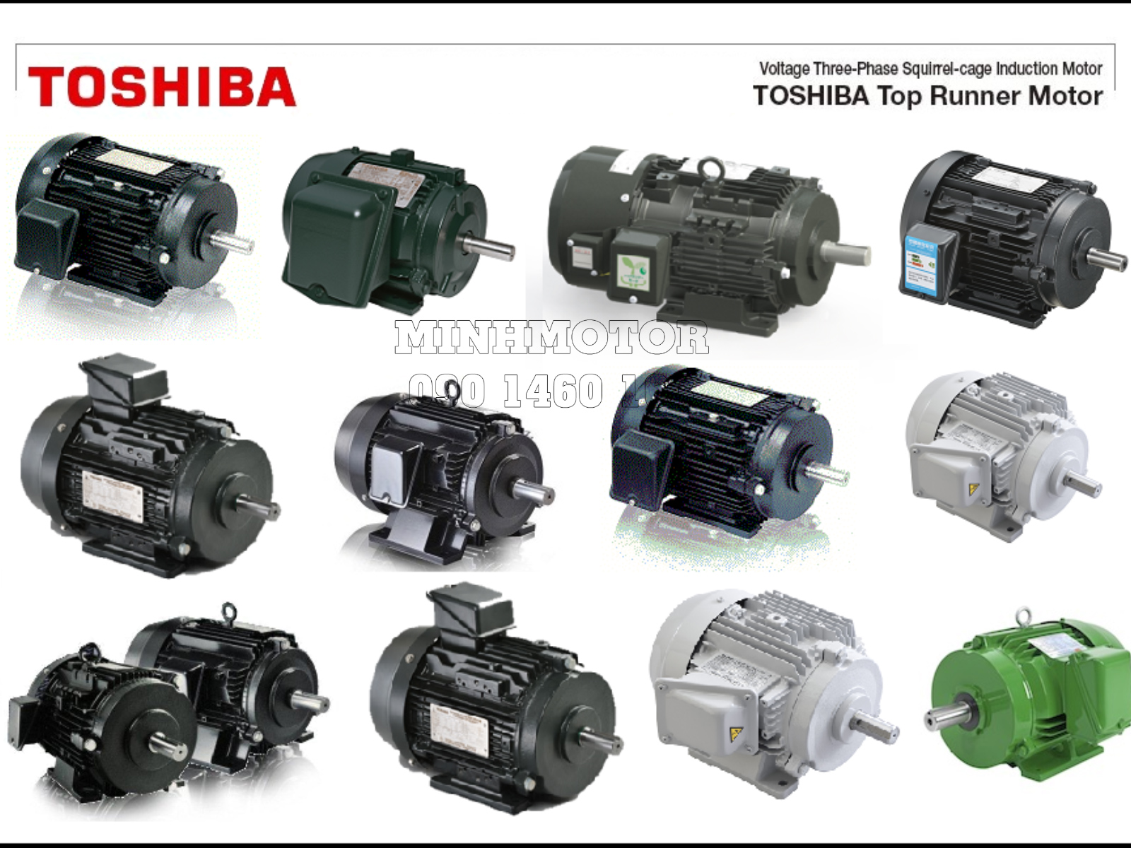 Motor Toshiba 3 Pha Động Cơ Điện Toshiba 380v Nhập Khẩu Chính Hãng